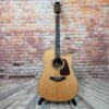 Takamine P7DC