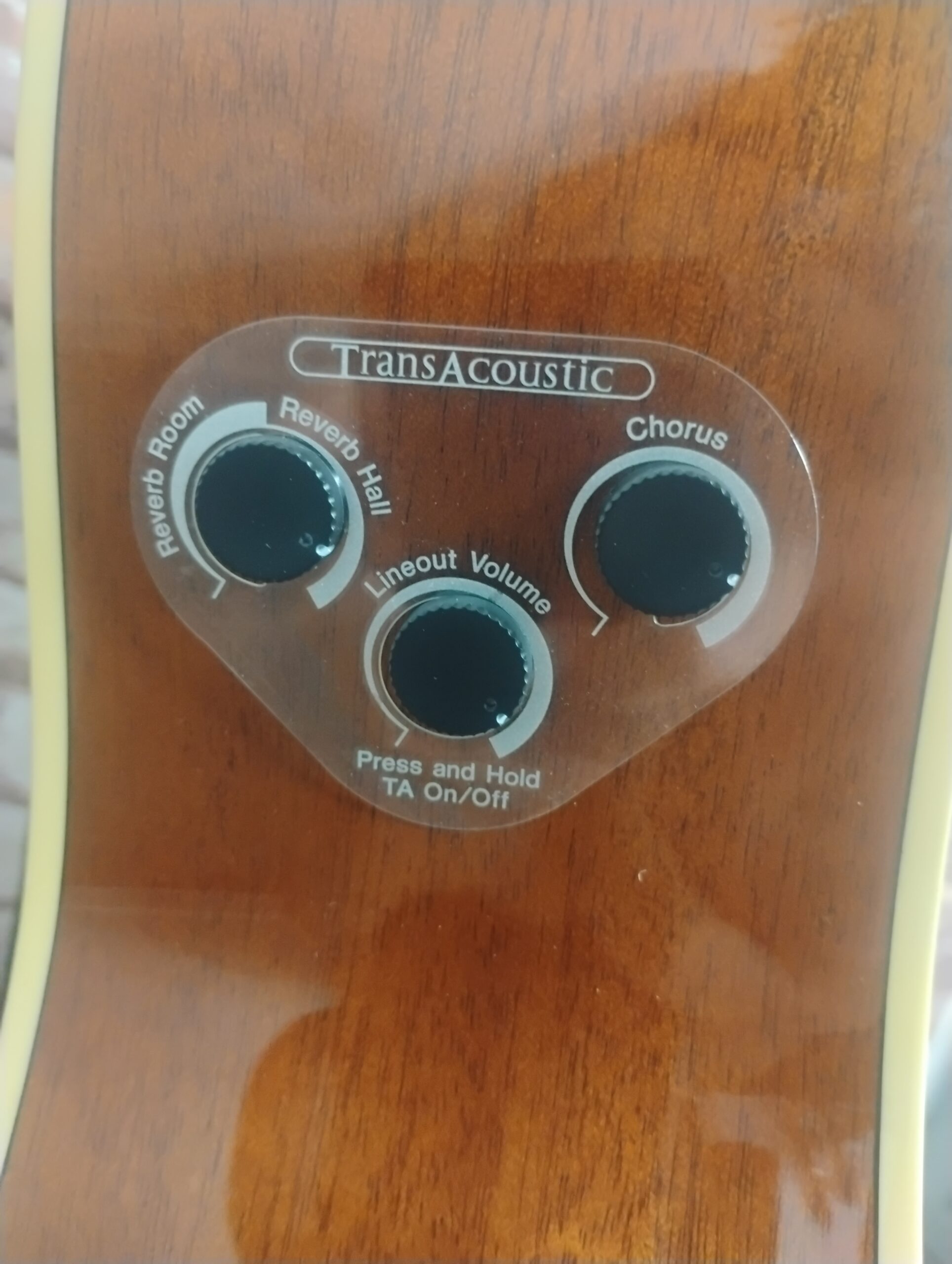 Yamaha FGC-TA - Image 13