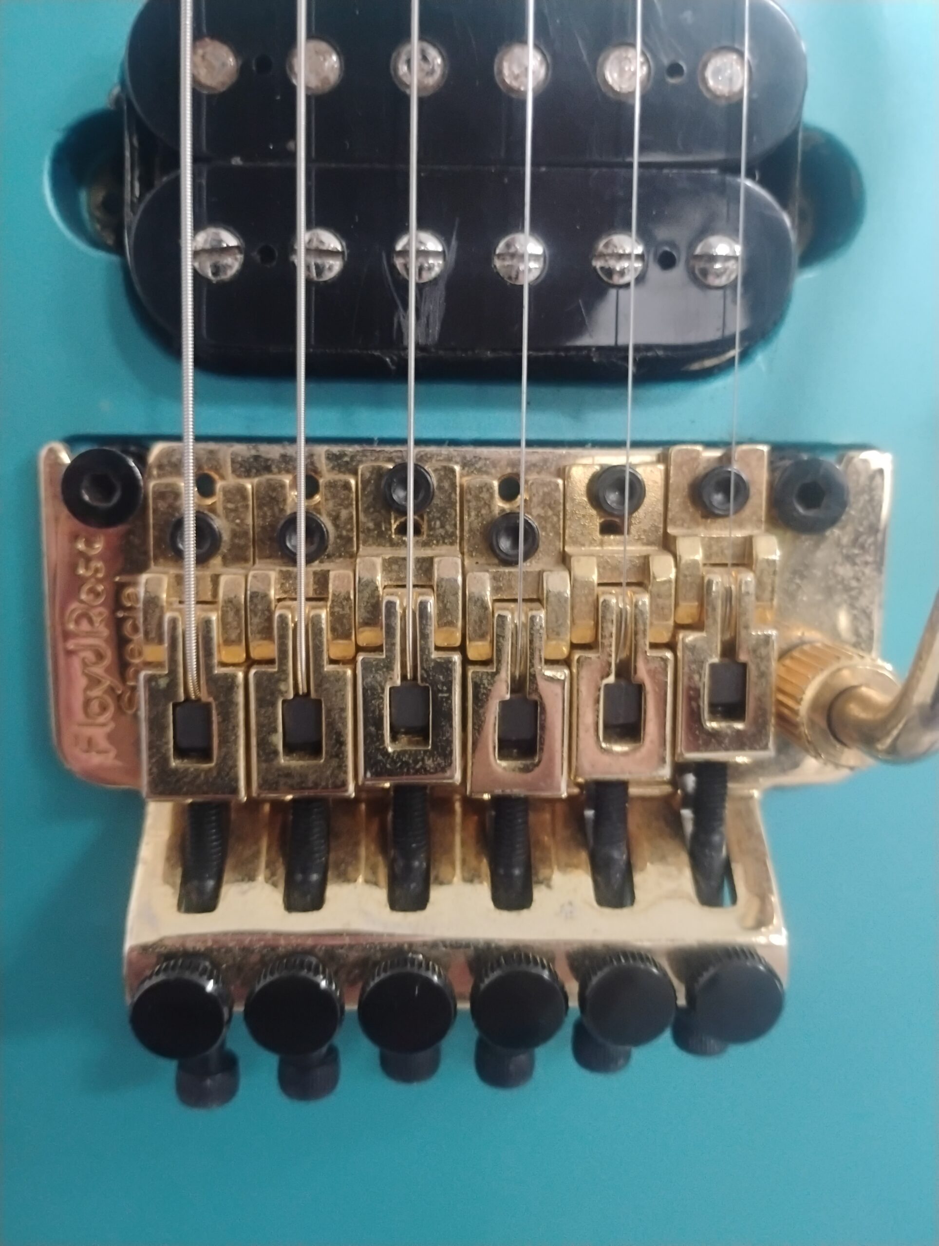 EVH Wolfgang Standard - Image 4